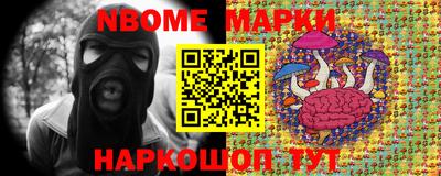 гидра Новозыбков