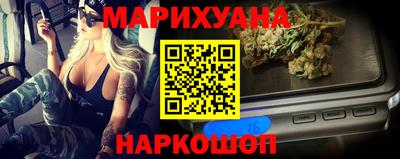 гидра Новозыбков