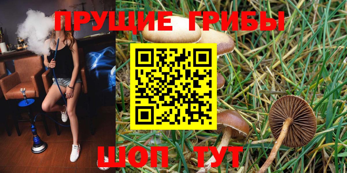 Павлово  Галлюциногенные грибы Psilocybe  Вход с VPN 