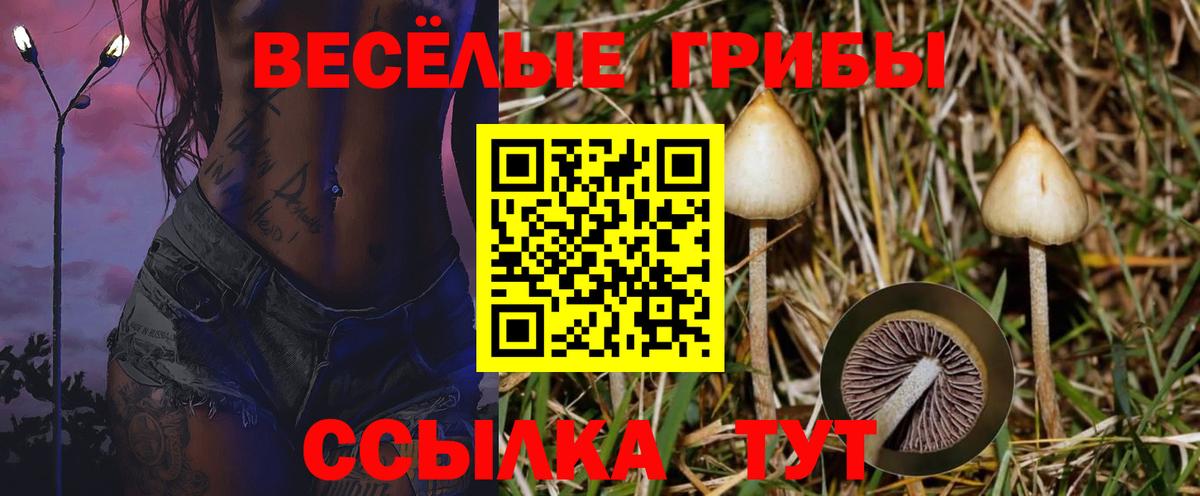 Псилоцибиновые грибы прущие грибы Павлово
